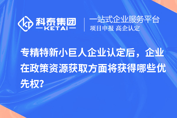 專精特新小巨人企業(yè)認(rèn)定后，企業(yè)在政策資源獲取方面將獲得哪些優(yōu)先權(quán)？