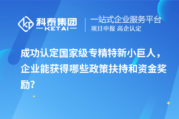 成功認(rèn)定國家級專精特新小巨人，企業(yè)能獲得哪些政策扶持和資金獎(jiǎng)勵(lì)？