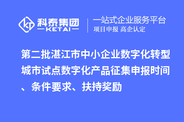 第二批湛江市中小企業數字化轉型城市試點數字化產品征集申報時間、條件要求、扶持獎勵