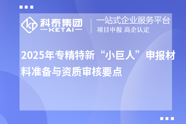 2025年專精特新“小巨人”申報(bào)材料準(zhǔn)備與資質(zhì)審核要點(diǎn)