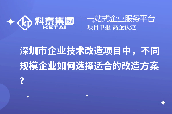 深圳市企業(yè)技術(shù)改造項(xiàng)目中，不同規(guī)模企業(yè)如何選擇適合的改造方案？