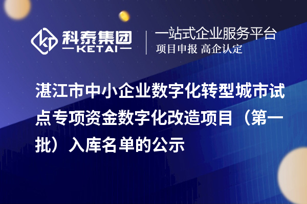 湛江市中小企業(yè)數(shù)字化轉(zhuǎn)型城市試點(diǎn)專項(xiàng)資金數(shù)字化改造項(xiàng)目（第一批）入庫名單的公示