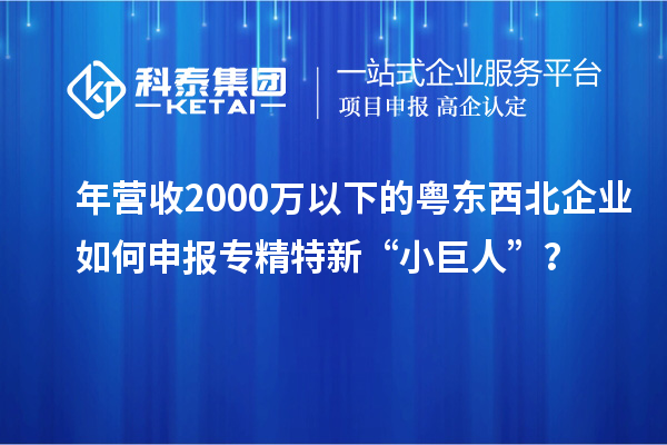 年營收2000萬以下的粵東西北企業如何申報專精特新“小巨人”?