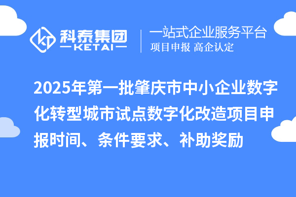 2025年第一批肇慶市中小企業(yè)數(shù)字化轉(zhuǎn)型城市試點(diǎn)數(shù)字化改造項(xiàng)目申報(bào)時(shí)間、條件要求、補(bǔ)助獎勵