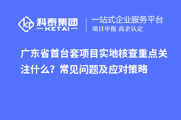 廣東省首臺套項目實地核查重點關注什么？常見問題及應對策略