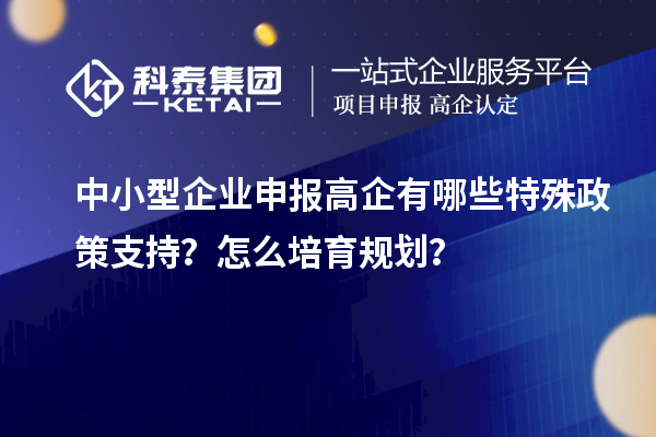 中小型企業(yè)申報高企有哪些特殊政策支持？怎么培育規(guī)劃？
