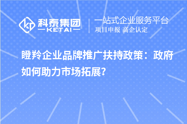 瞪羚企業品牌推廣扶持政策：政府如何助力市場拓展？