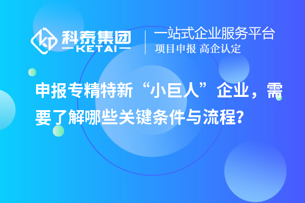 申報(bào)專精特新“小巨人”企業(yè)，需要了解哪些關(guān)鍵條件與流程？