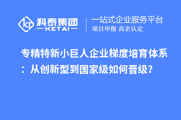 專精特新小巨人企業梯度培育體系：從創新型到國家級如何晉級？