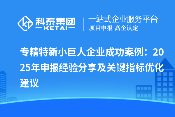 專精特新小巨人企業成功案例：2025 年申報經驗分享及關鍵指標優化建議
