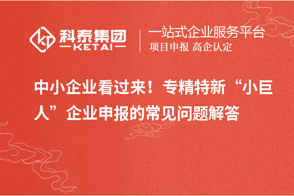 中小企業(yè)看過來！專精特新 “小巨人” 企業(yè)申報(bào)的常見問題解答