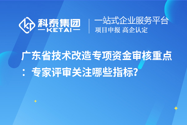 廣東省技術改造專項資金審核重點：專家評審關注哪些指標？