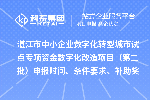 湛江市中小企業數字化轉型城市試點專項資金數字化改造項目（第二批）申報時間、條件要求、補助獎勵