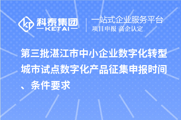 第三批湛江市中小企業數字化轉型城市試點數字化產品征集申報時間、條件要求