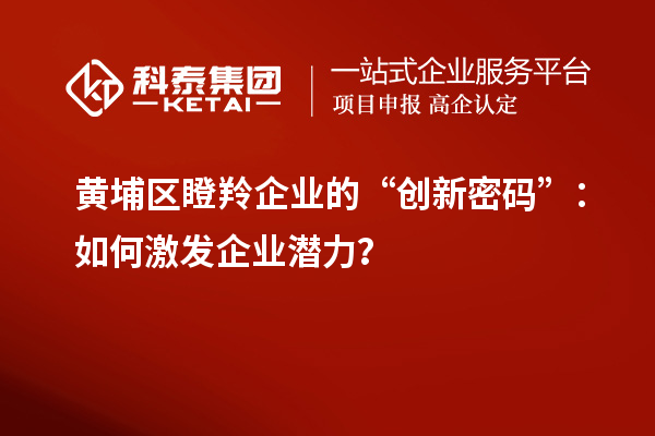 黃埔區(qū)瞪羚企業(yè)的“創(chuàng)新密碼”:如何激發(fā)企業(yè)潛力?