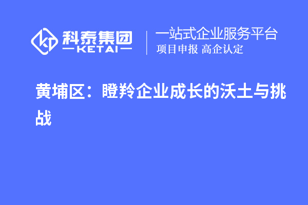 黃埔區:瞪羚企業成長的沃土與挑戰