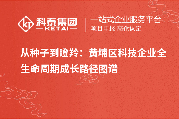 從種子到瞪羚:黃埔區(qū)科技企業(yè)全生命周期成長路徑圖譜