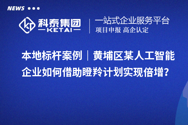 本地標(biāo)桿案例|黃埔區(qū)某人工智能企業(yè)如何借助瞪羚計劃實(shí)現(xiàn)倍增?