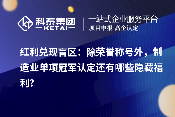 紅利兌現盲區：除榮譽稱號外，制造業單項冠軍認定還有哪些隱藏福利？