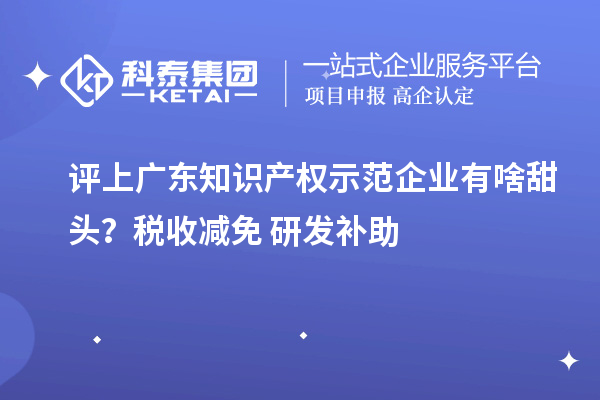 評上廣東知識產權示范企業有啥甜頭？稅收減免+研發補助