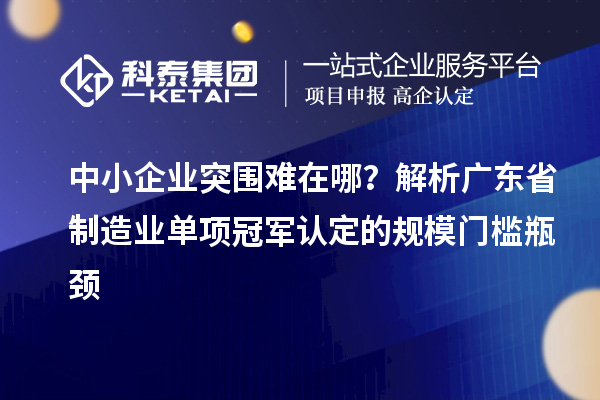 中小企業突圍難在哪？解析廣東省制造業單項冠軍認定的規模門檻瓶頸