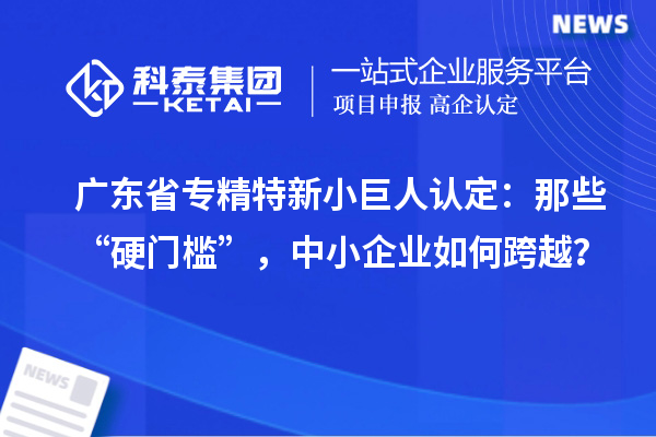 廣東省專精特新小巨人認(rèn)定：那些“硬門檻”，中小企業(yè)如何跨越？