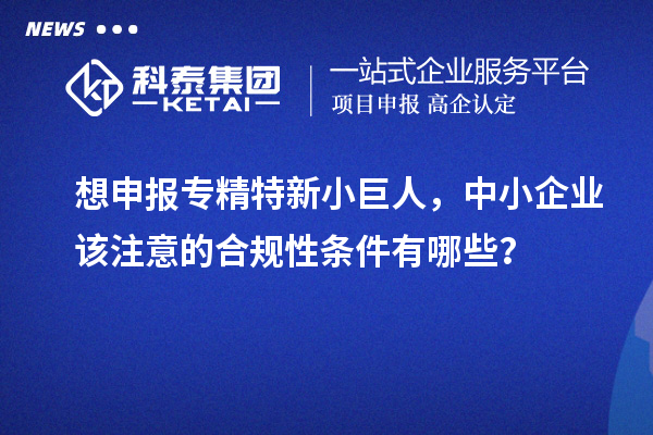 想申報專精特新小巨人，中小企業該注意的合規性條件有哪些？