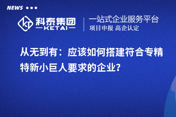 從無到有：應(yīng)該如何搭建符合專精特新小巨人要求的企業(yè)？