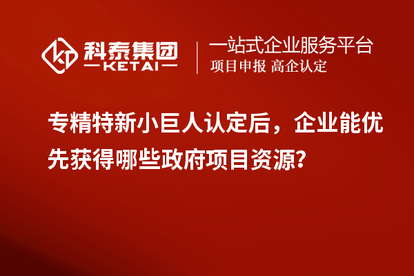 專精特新小巨人認定后，企業能優先獲得哪些政府項目資源？