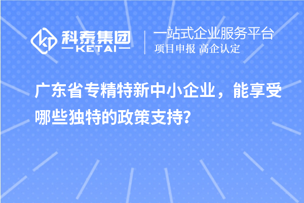 廣東省專精特新中小企業(yè)，能享受哪些獨特的政策支持？