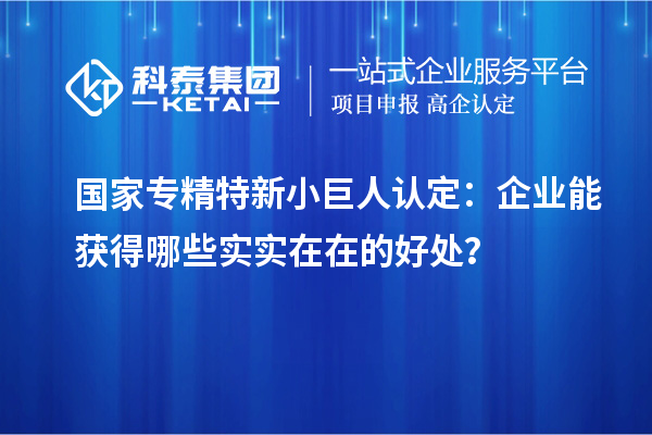 國家專精特新小巨人認定:企業能獲得哪些實實在在的好處?