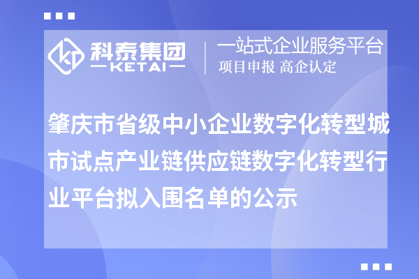 肇慶市省級中小企業數字化轉型城市試點產業鏈供應鏈數字化轉型行業平臺擬入圍名單的公示