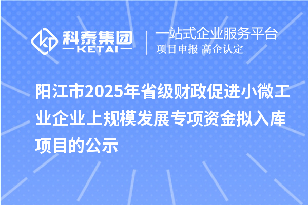 陽江市2025年省級財政促進小微工業企業上規模發展專項資金擬入庫項目的公示