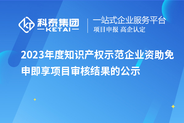 2023年度知識產權示范企業資助免申即享項目審核結果的公示