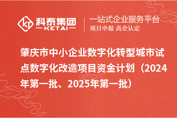 肇慶市中小企業(yè)數(shù)字化轉(zhuǎn)型城市試點數(shù)字化改造項目資金計劃（2024年第一批、2025年第一批）