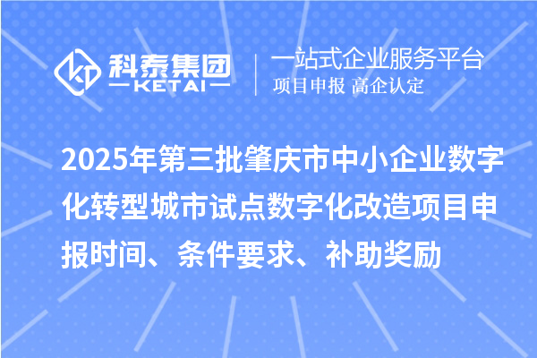 2025年第三批肇慶市中小企業數字化轉型城市試點數字化改造項目申報時間、條件要求、補助獎勵