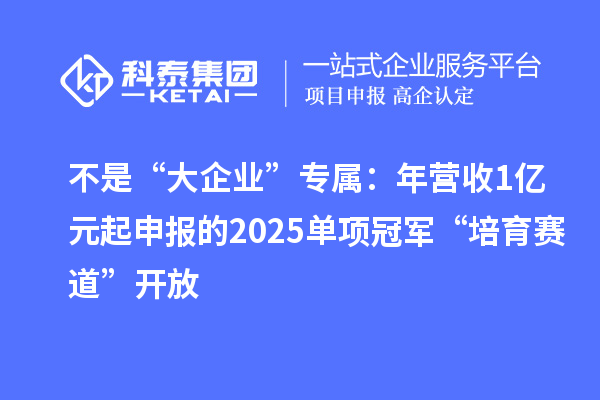 不是“大企業”專屬：年營收1億元起申報的2025單項冠軍“培育賽道”開放