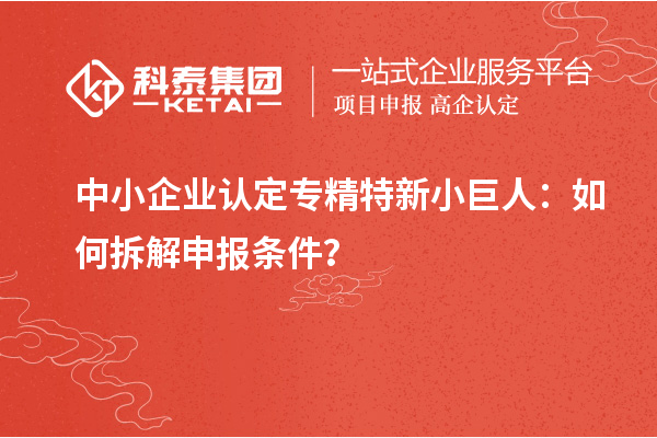 中小企業認定專精特新小巨人：如何拆解申報條件？