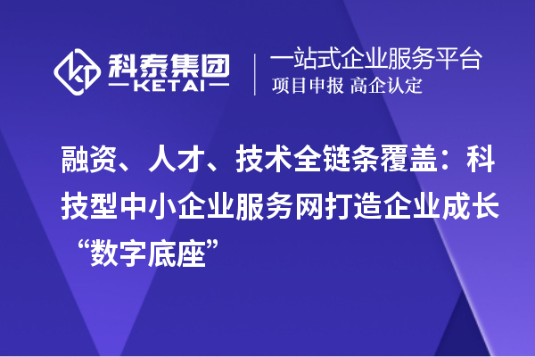 融資、人才、技術全鏈條覆蓋：科技型中小企業服務網打造企業成長“數字底座”