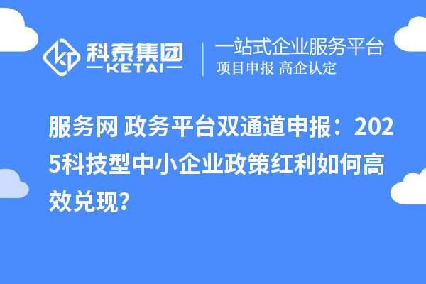 服務網+政務平臺雙通道申報:2025科技型中小企業政策紅利如何高效兌現?