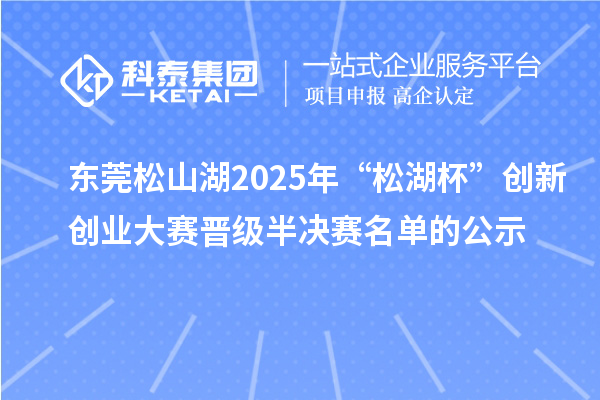 東莞松山湖2025年“松湖杯”創新創業大賽晉級半決賽名單的公示