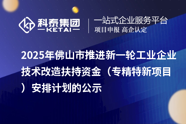2025年佛山市推進新一輪工業企業技術改造扶持資金（專精特新項目） 安排計劃的公示