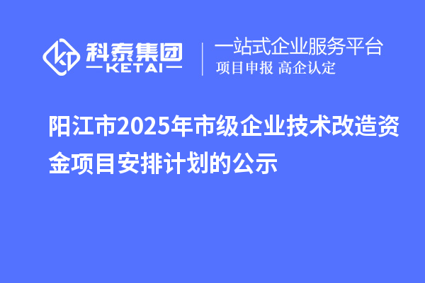 陽江市2025年市級企業技術改造資金項目安排計劃的公示