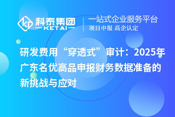 研發費用“穿透式”審計：2025年廣東名優高品申報財務數據準備的新挑戰與應對