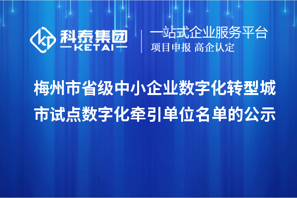 梅州市省級中小企業數字化轉型城市試點數字化牽引單位名單的公示