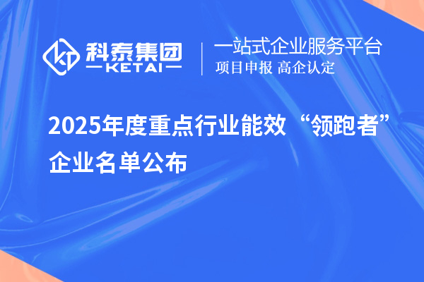 2025年度重點行業能效“領跑者”企業名單公布