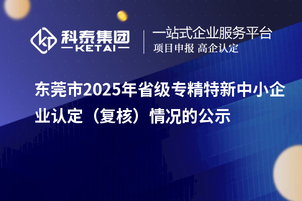 東莞市2025年省級專精特新中小企業(yè)認定（復(fù)核）情況的公示