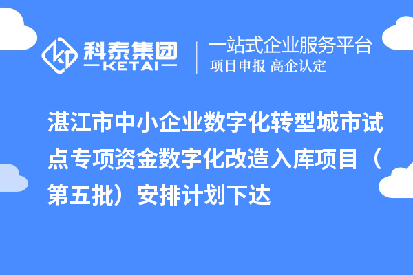 湛江市中小企業數字化轉型城市試點專項資金數字化改造入庫項目（第五批）安排計劃下達