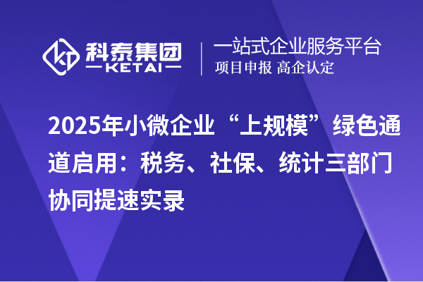 2025年小微企業“上規模”綠色通道啟用：稅務、社保、統計三部門協同提速實錄