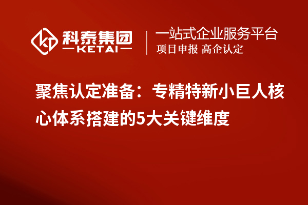 聚焦認定準備：專精特新小巨人核心體系搭建的5大關鍵維度